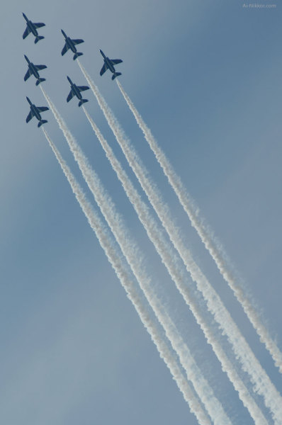 201010_DSC7290.jpg 201010_DSC7290.jpg