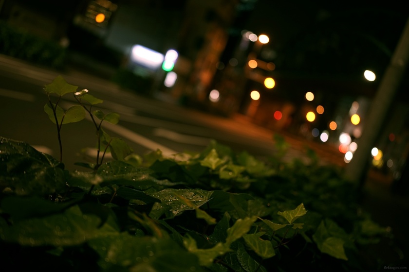 202106_Akihabara_03.jpg